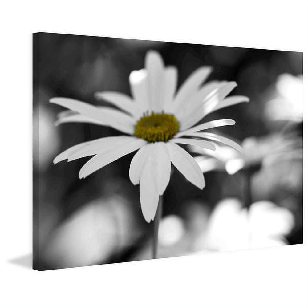 Marmont Hill "Sun Speckled Daisy" Painting Print on Canvas