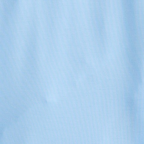 Bluejay