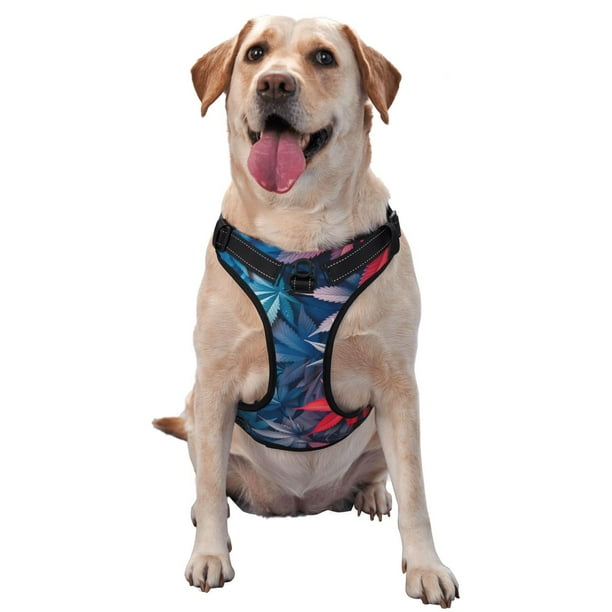 Balery Red And Blue Leaves Arnés para Perros Grandes Antitirones, Arnés con Correa para Gato, Arnés Tipo Chaleco para Perros Pequeños-Medium