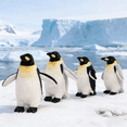 thumbnail image 4 of Cute Fluffy Plush Toy Cute Penguin Plush Toy Real Life Animal Doll Home Decor  Birthday Gifts, 4 of 6