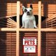 thumbnail image 4 of 10sheets Pet Alert Safety Rescue Sticker Protect Your Pets Adhesive Residue-free Removal Emergency Decals, 4 of 5