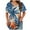 Blue, variant on TOWMUS Womens T-Shirts V Neck Short Sleeve Summer Tops Women Casual Print Shirts for Women
