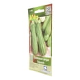 thumbnail image 2 of Semillas Vita Calabaza Larga Squash 2.6 g, 2 of 3
