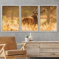 thumbnail image 2 of wall26 Framed Canvas Print Wall Art Set Golden Hour Sunset Wild Deer Stag Country Field Animals Nature Photography Realism Decorative Colorful for Living Room, Bedroom, Office - 16"x24"x3 W, 2 of 5