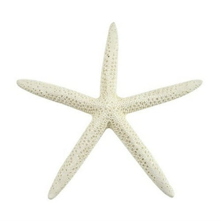 Christmas Decor Home starfish, 15 small white finger (pencil) starfish 3-4