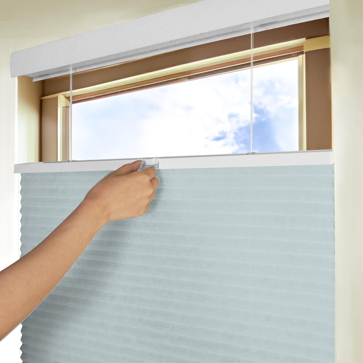 Chicology Cloud Light Filtering Cordless Top Down Bottom Up Cellular Shades 71.25 in. W x 72 in. L