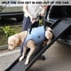 thumbnail image 5 of Arnés Elevador para Perros Coodeo Soporte de Rehabilitación para Mascotas XS, 5 of 6