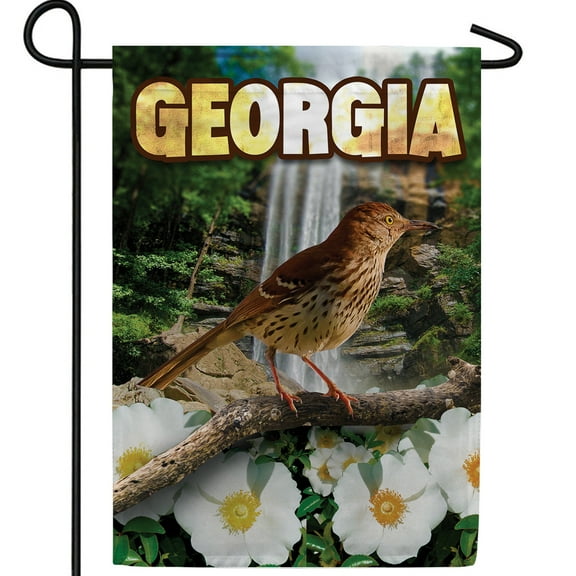 America Forever Georgia State Garden Flag- 12.5 x 18 inches - Georgia Brown Thrasher USA Regional Yard Outdoor Decorative Double Sided Flag