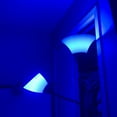 thumbnail image 3 of AmeriLuck Colored A19 LED Light Bulb, Deep Cobalt Blue with Black Light Effect, 7W (60W Equivalent), E26 Medium Scew Base, Waterproof for Outdoor Use, 3 of 7