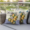 thumbnail image 3 of Vintage Lemons Outdoor Pillow Covers Pack of 2 Fruit Leaves Art Beige Blue Geometric Pattern Waterproof Throw Pillow Covers Decorative Cushion Cases for Patio Garden Tent Balcony Couch 18x18 inch, 3 of 9