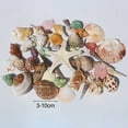 thumbnail image 6 of Dserhfy 1 Bag Natural Seashells Mixed Ocean Shells Starfish Conch Various Sizes Seashells Set for DIY Crafts Beach Theme Party Fish Tank Filling, 6 of 8