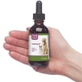 thumbnail image 3 of PetAlive AnalGlandz - Natural Herbal Cleansing Solution for the Anal Glands of Dogs and Cats - 59 mL, 3 of 6