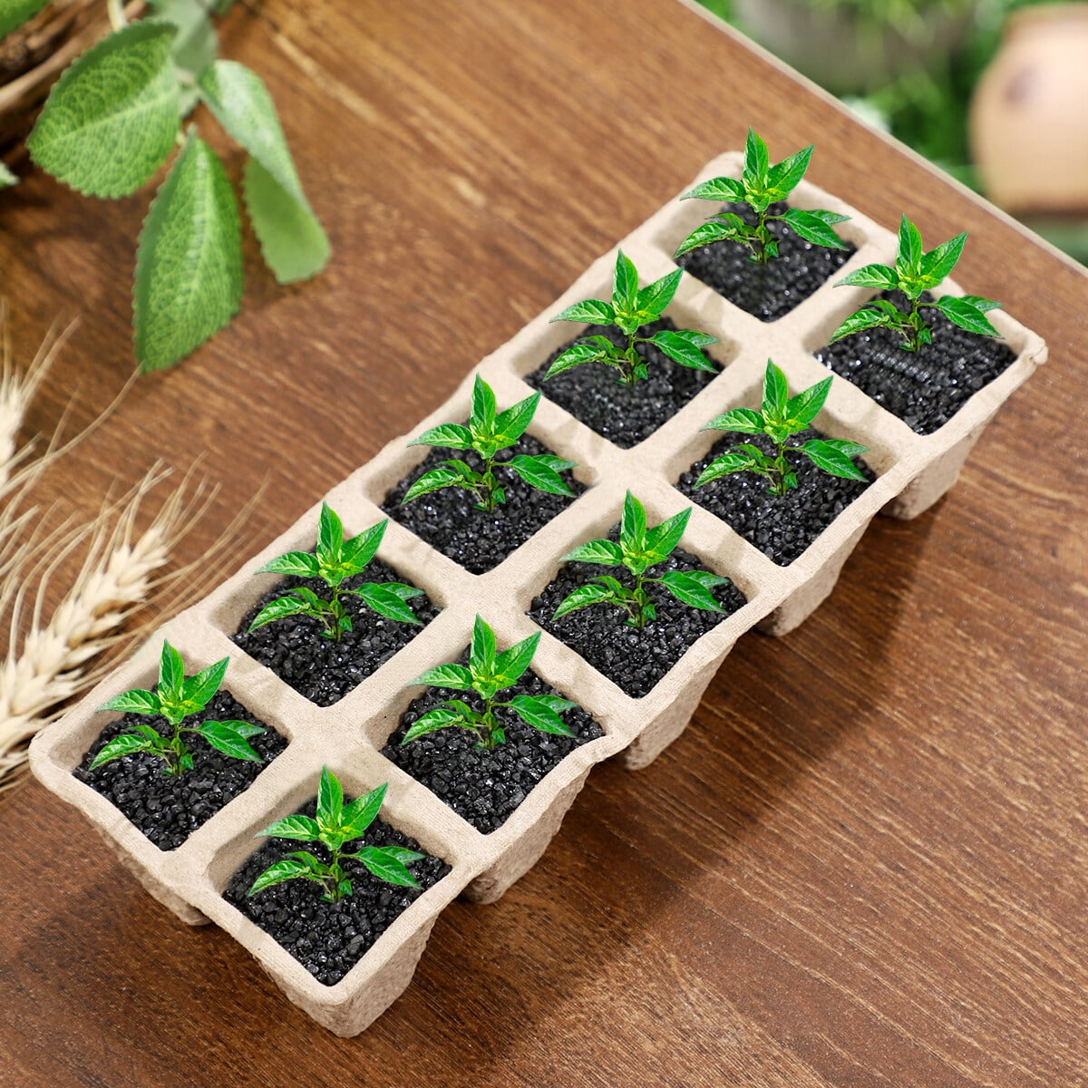 Jibingyi Toyvian 13pcs Biodegradable Plant Starter Trays with 10 Grids Nursery Peat Pots for , Random Color