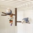 thumbnail image 2 of Multi Stand Branch Parrot Perch Bird Cage Toys Natural Bird Perch Stand For Small Budgies Conure Parrot Parakeets, 2 of 8