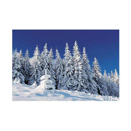 Winter Scene Backdrop Banner Frozen Birthday Christmas Photo Booth Decoration