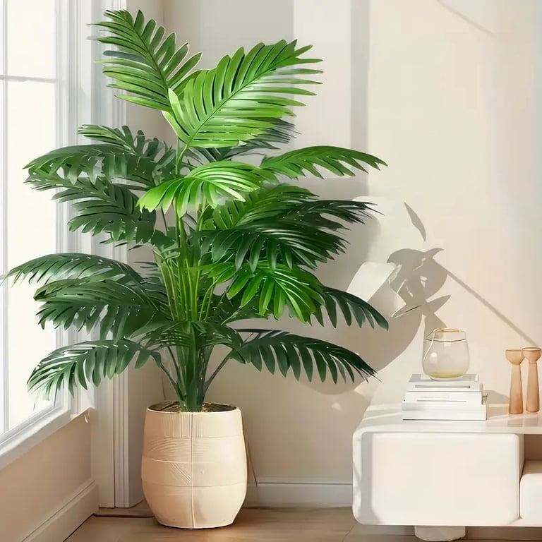 dracaena variegatus Sanderiana Variegated (Dracaena Sanderiana)