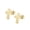 Gold, variant on Men's Women's Stainless Steel Dainty Small Flat Gold Plated Cross Stud Earrings Piercing Screw Back Black