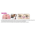 thumbnail image 5 of Paleta para el contorno de ojos CANMAKE Plumpuku Matte Glitter Pearl 1,3 g, 5 of 5