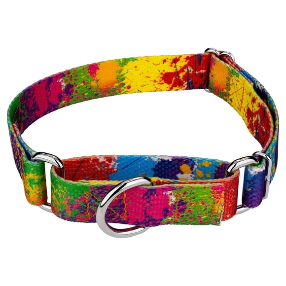 Country Brook Petz - Collier pour Chien Martingale Éclaboussures de Peinture - Collection Groovy avec Motifs Lointains (1 Po Moyen)