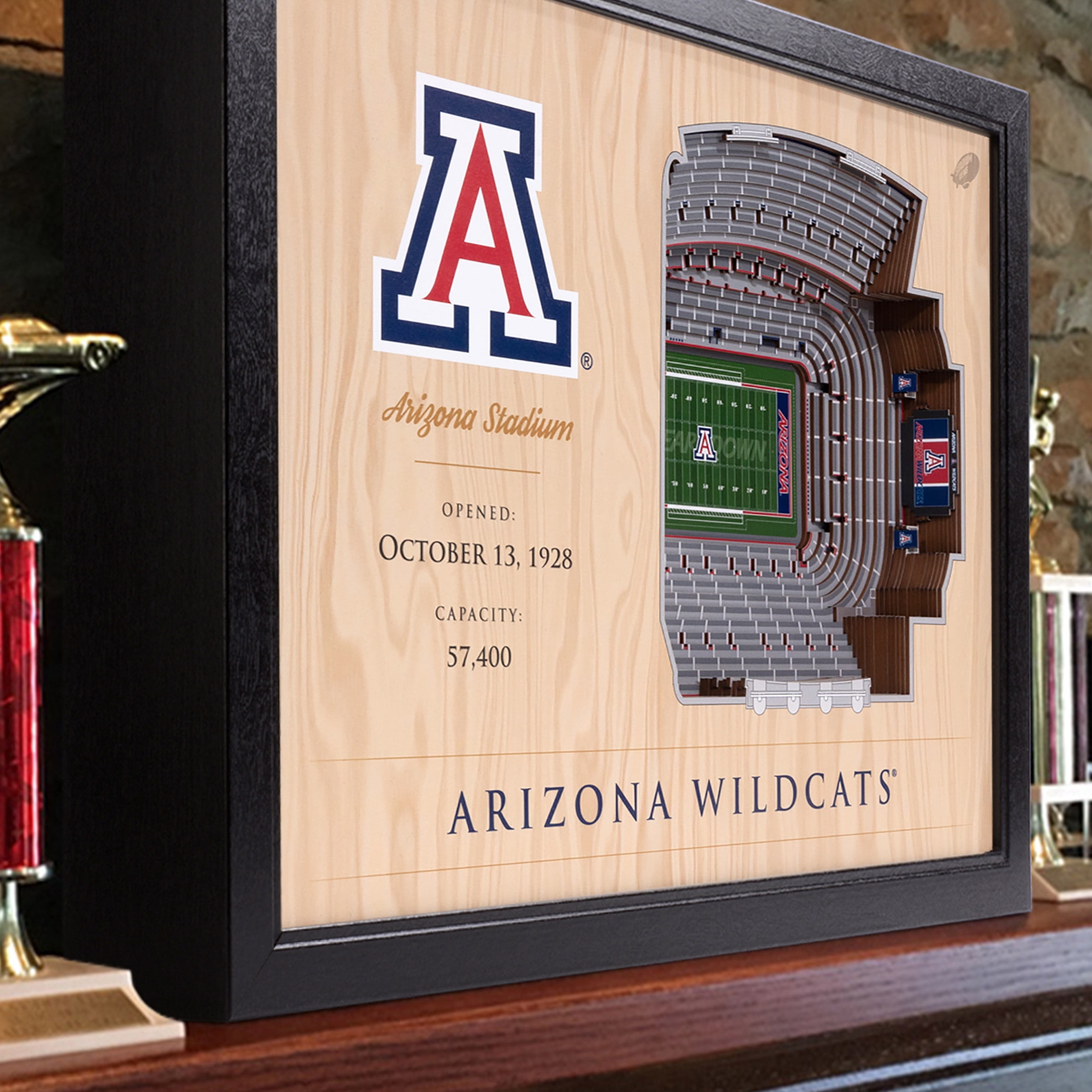 YouTheFan NCAA Arizona Wildcats FB 25-Layer Stadiumview Wall Art