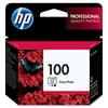 100 Photo Gray Ink Cartridge
