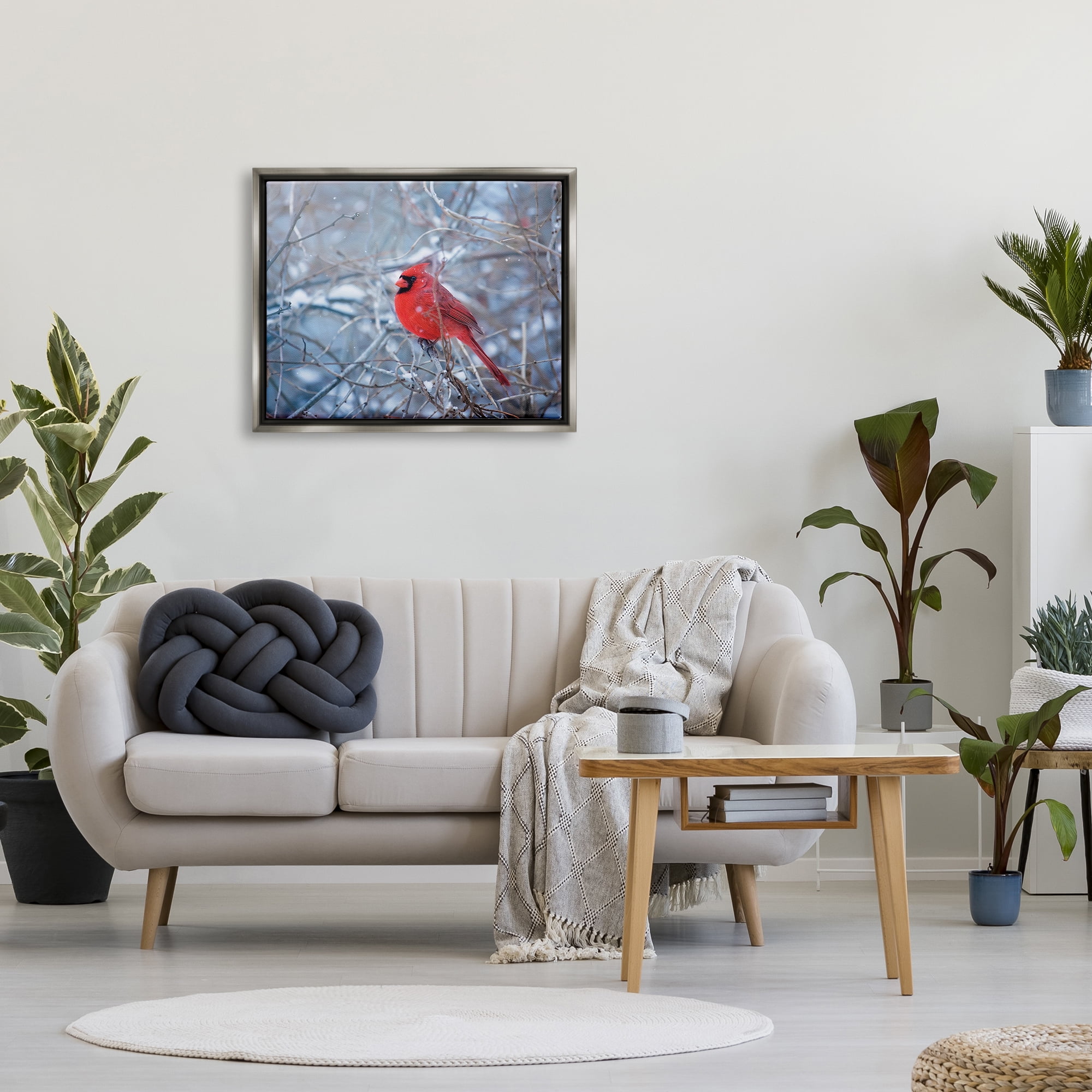 Stupell Industries Cardinal in Winter Branches Animals & Insects Photography Gray Floater Framed Art Print Wall Art, 31 x 25