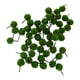 thumbnail image 4 of 50 piezas de árboles esféricos modelo para bricolaje, paisaje, escala N Pasto verde, 4 of 6