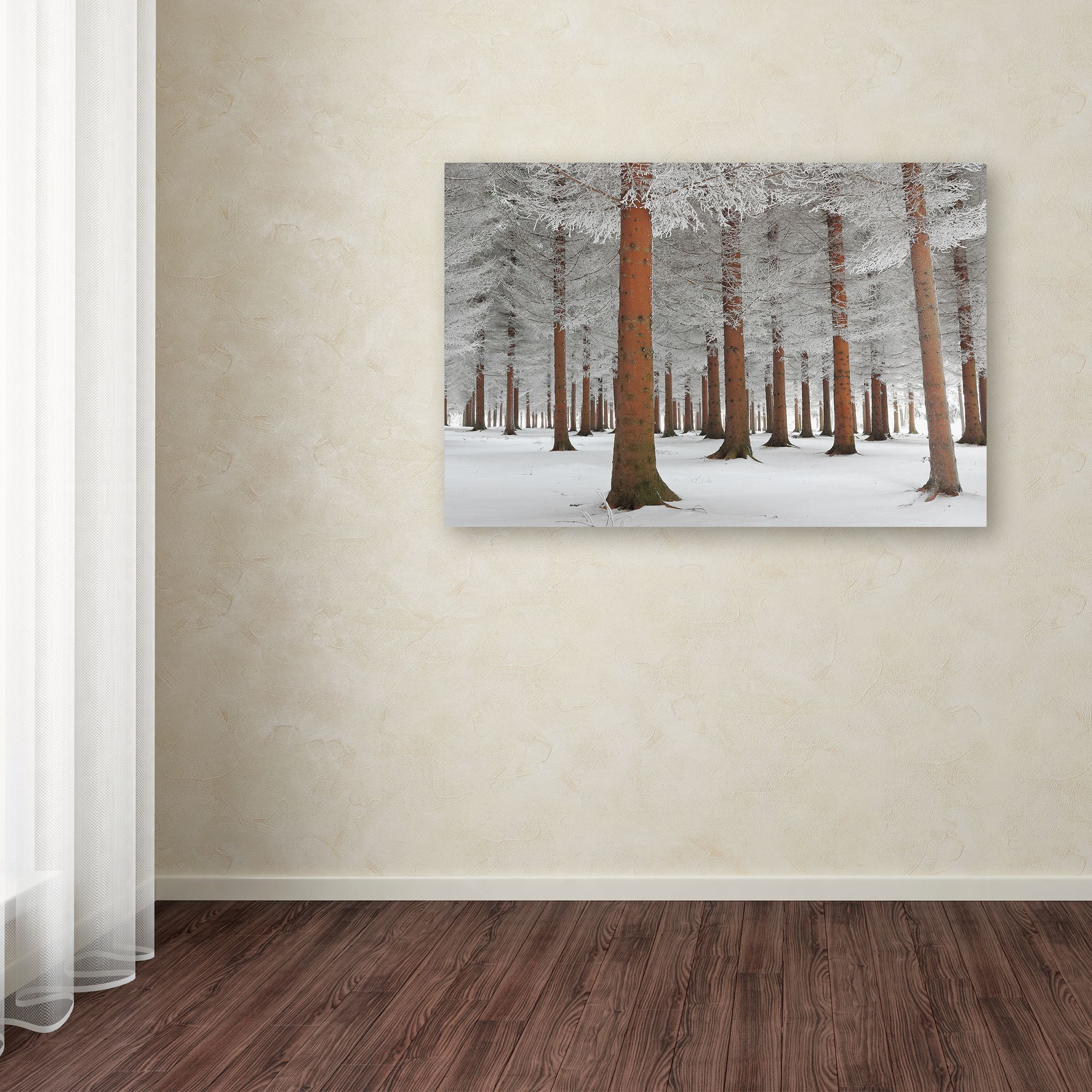 Trademark Fine Art 'In White' Canvas Art by Dragisa Petrovic
