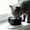Black-12oz, variant on Gytml Ceramic Heated Water Bowl For Outdoor Cats Dogs, 12 oz Smart Thermal-Bowl With 3 Temperature Settings, Safety Energy Efficient Ceramic Heated Dish For Dogs Cats Winter Use White-12oz