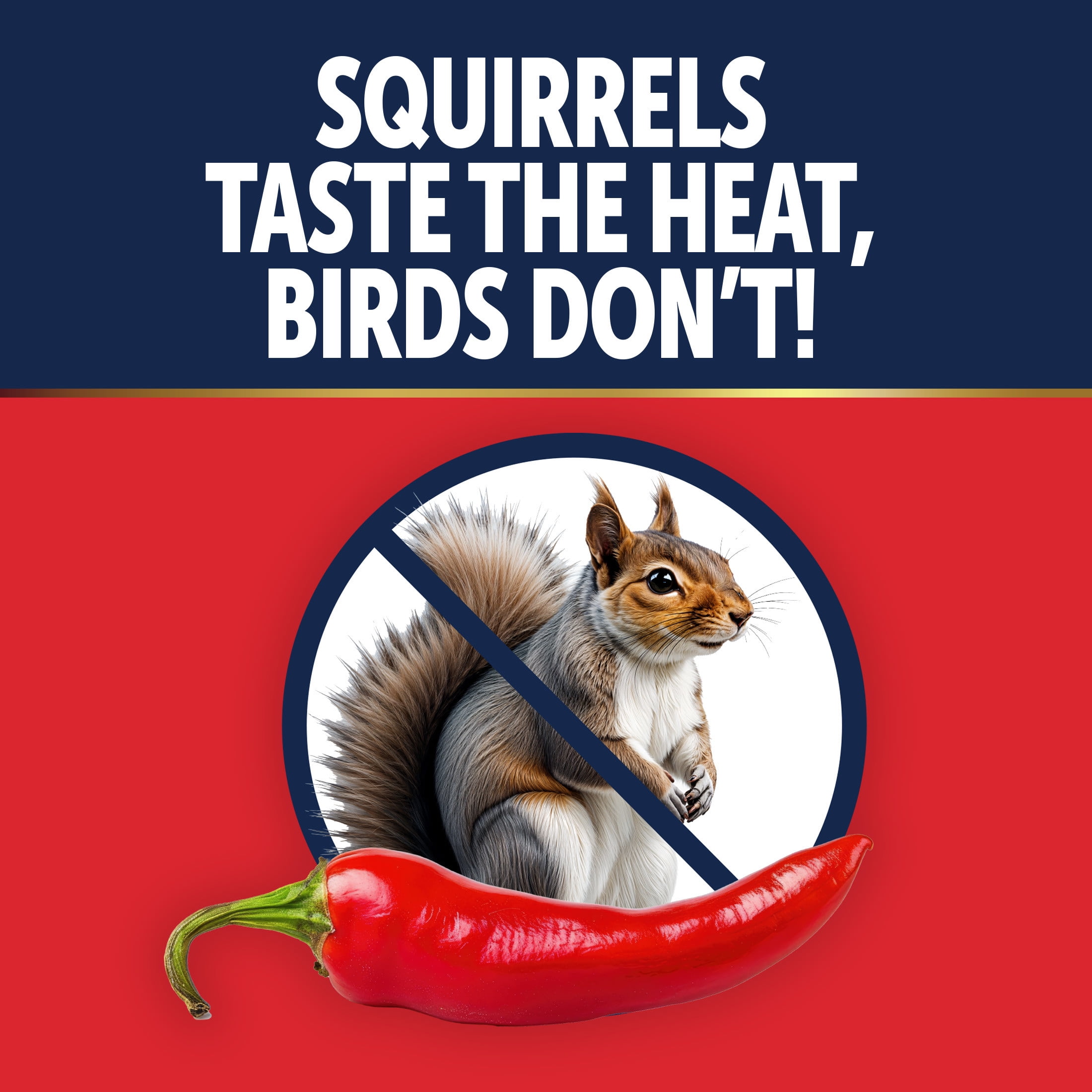 3-D Pro Blends Sizzle N' Heat, Wild Bird Food, Spicy Bird Seed to Prevent Squirrels, 5 Pounds
