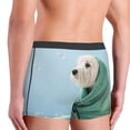 thumbnail image 3 of Goofa Dog Wrapped in Towel Printed Men's Boxer Briefs Underwear, Moisture-Wicking Underwear, Trunk,Soft and Breathable Cotton Underwear-Small, 3 of 9