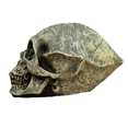 thumbnail image 2 of Figura Adorno Calavera Alienígena Decoración Terror Halloween, 2 of 4