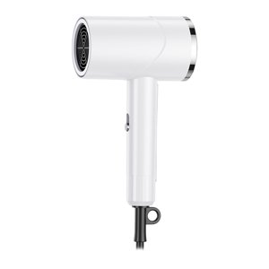 FSTDelivery Beauty & Soin personnel! Séchoir à cheveux Séchoir pour cheveux haute puissance Maison Séchoir cheveux Combustion à vent chaud Salon de coiffure Peigne à cheveux, Outil de soin des cheveux, Cadeau anniversaire de Noël pour les femmes & Petite amie