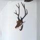 thumbnail image 5 of Cabeza de ciervo de imitación montada en la pared Baoblaze Decoración rústica de otoño Cuernos de ciervo extraíbles, 5 of 8