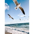thumbnail image 1 of Pintura de diamante (DE1346) cuadrado DIY gaviota voladora bordado decoración de pared 50x70cm FLhrweasw Nuevo, 1 of 1