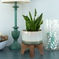 thumbnail image 2 of Flora Bunda Mid Century 7 inch Lava Ceramic on Wood Stand, Blue, 2 of 5