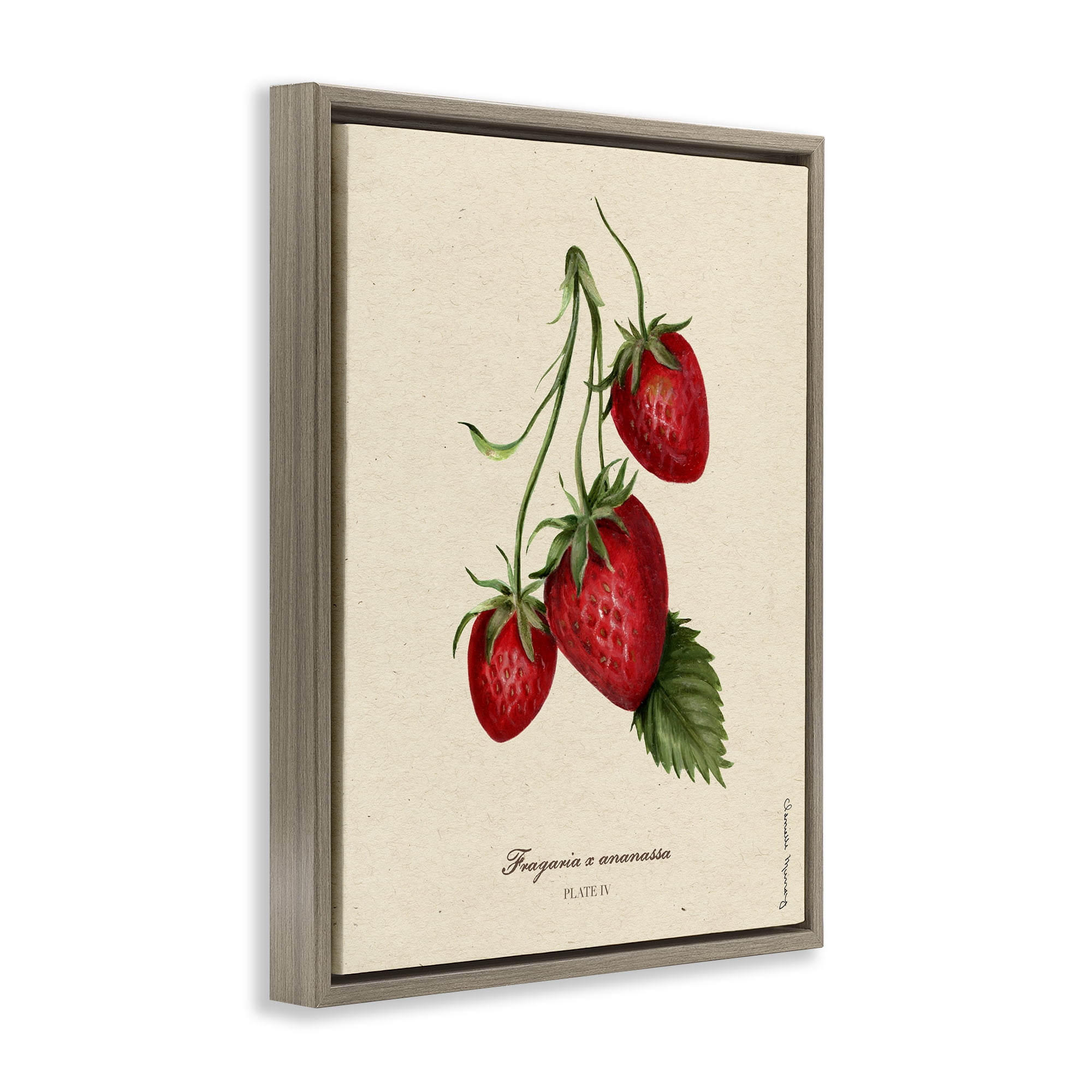 Stupell Industries Strawberry Fruit Portrait Brown Framed Floater Canvas Wall Art, design by Danielle Murray