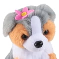 thumbnail image 5 of AUSTRALIAN SHEPHERD, 5 of 5