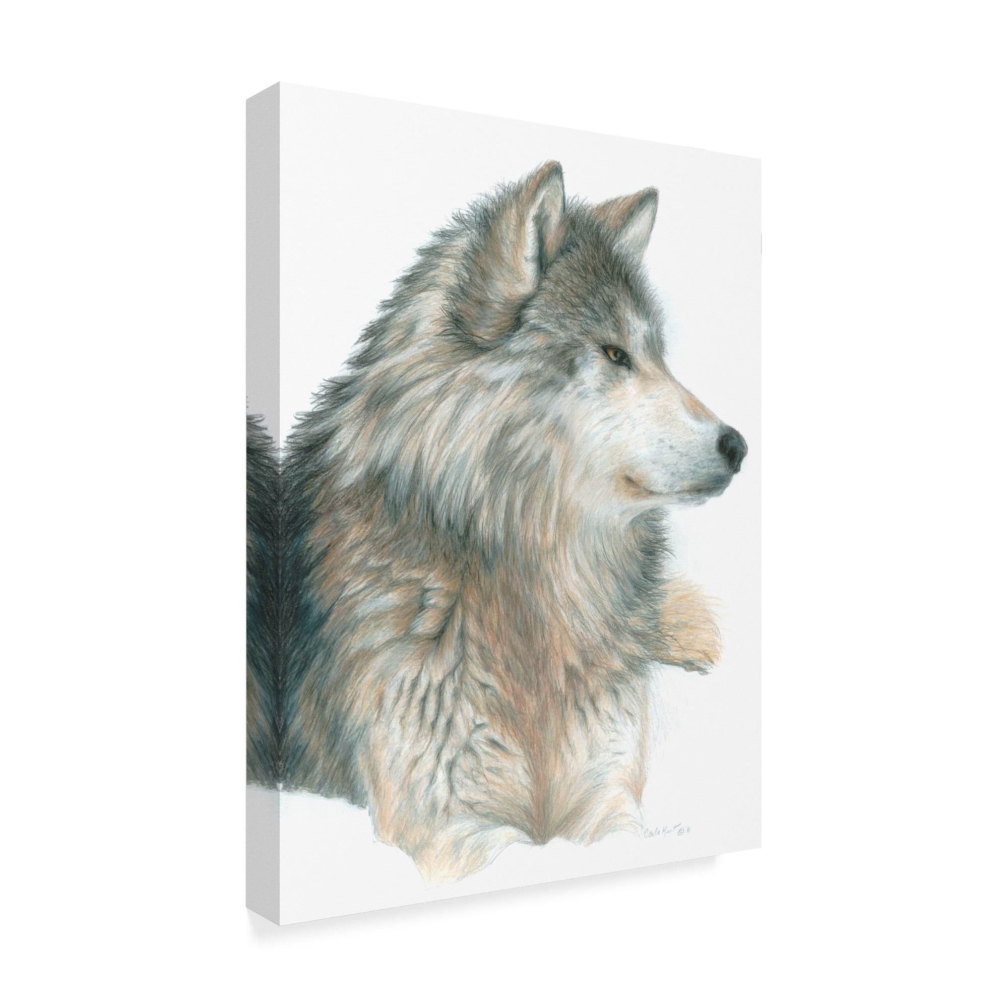 Trademark Fine Art 'Wolf On White' Canvas Art by Carla Kurt