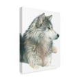 thumbnail image 2 of Trademark Fine Art 'Wolf On White' Canvas Art by Carla Kurt, 2 of 3