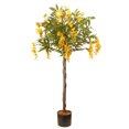 thumbnail image 1 of 48 "Árbol de glicina National Tree Company RAS-5365-00N, 1 of 1