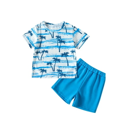 

wybzd Little Boys Summer Outfits Palm Tree Shirt Short Sleeve T-Shirt Tops Shorts Hawaii Beach Set
