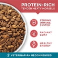 thumbnail image 3 of Purina ONE Tender Selects Blend Salmon Flavor Dry Cat Food, 22 lb Bag, 3 of 10