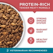 Purina ONE Tender Select Blends Dry Cat Food, Salmon, 3.5 lb Bag