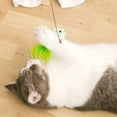 thumbnail image 4 of SweetCandy Pet Cat Understanding Self Feathers Bite Steel Wire Long Rod Toy, 4 of 6