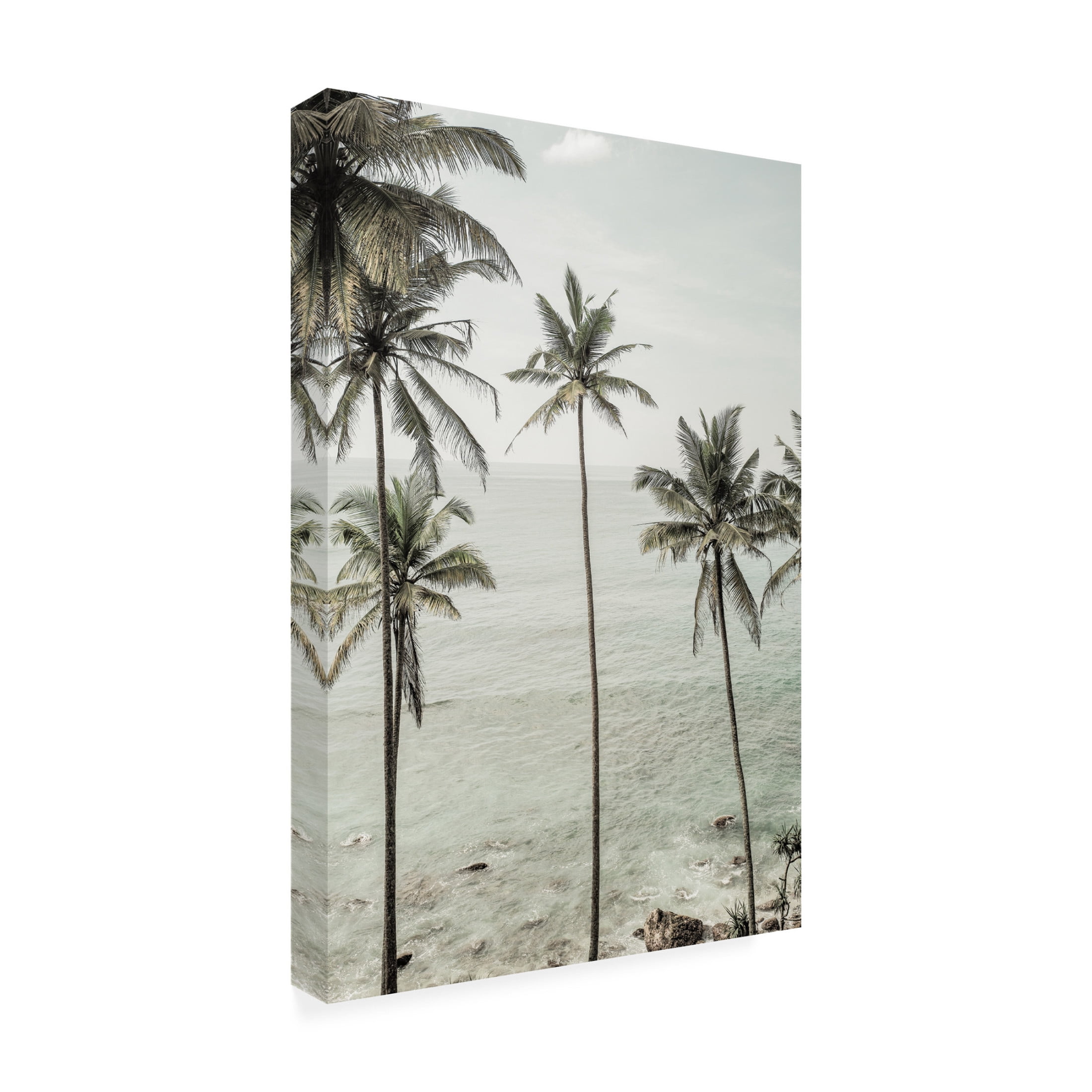 Trademark Fine Art Shot by Clint Tropical Dreams Canvas Wall Art