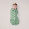 thumbnail image 2 of ergoPouch - Cocoon Swaddle Sack 2.5tog, 2 of 5