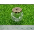 thumbnail image 5 of U8MO 5 Set Glass Bottle Pendant 20mm 25mm 30mm 35mm with Bronze Base Memory-30mm-5Pcs, 5 of 7