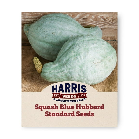 Harris Seeds 25 Squash Blue Hubbard Plant Seeds