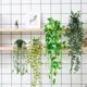 thumbnail image 3 of Set de 4 plantas colgantes artificiales BLEUM CADE para decoración del hogar, 3 of 9
